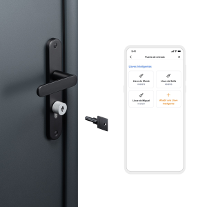 Incuietoare smart cu chei smart